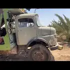 حصني دبل نظيف شرط