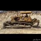 دركتر بيشه