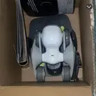 ريبورت لونا استخدام شهر تددعم الغه العربيه
