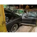 كابرس88 للبيع