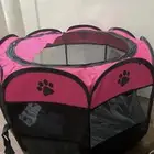 مستلزمات قطط