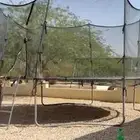 نطيطه للبيع