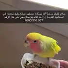 روز