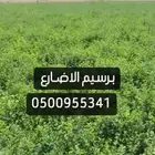 يوجد اعلاف برسيم الجوف الاضارع