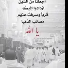 ابحث عن شبك غنم للبيع
