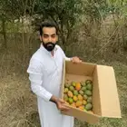 مزرعة للبيع