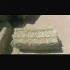 برسيم تبوك