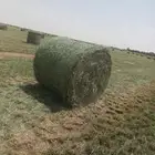 رودس