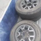 جنوط جيمني للبيع