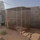 شبك طيور كبير بقلاوه