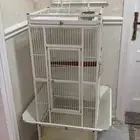 قفص كبير