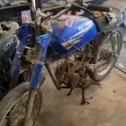 للبيع x100