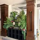 عمدان خشب ديكور