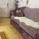 كنب للبيع
