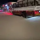 دينه متواجد في بيش
