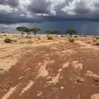 مطلوب شقة للايجار بالحناكية