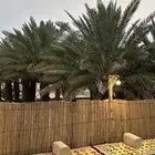جريد نخل خزاز