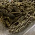 عود كلمنتان دبل سوبر نص كيل