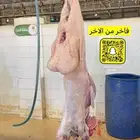 ذبايح عرعر