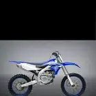 مطلوب صحراوي