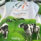 برسيم امريكي واسترالي للبيع