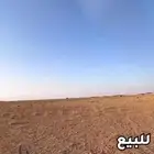 ارض زراعيه للبيع