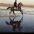 سرج اسيتوس