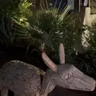تحفه خشبيه نادره