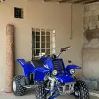 مطلوب بانشي اي موديل اي خرط