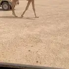 للبيع القعود الرماني الكفو