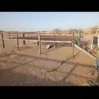 للبيع دكه حديد كفو كبيره طولها 7 ف 4 واكثر ضرماء