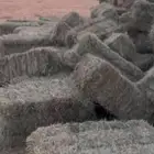بلك برسيم