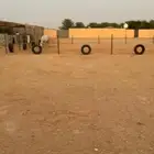 اسطبل ايواء خيل