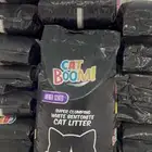رمل قطط