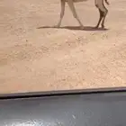 للبيع الرمانيه خفوت. رباع