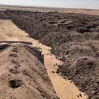 سماد عضوي