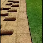 ثيل سي 2000 أمريكي الخرج
