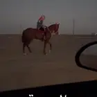 حصان للبيع