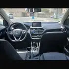 شانجان للبيع لوحة صفراء