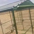 شبك حمام أو دجاج