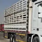 مسكس اكتروس ( صندوق )