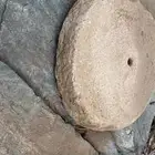 الرياض