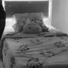 سرير