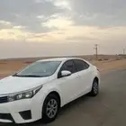 كورلاء 2015