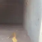 صندوق عايدي