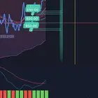 بوت اكسبرت اوبشن ل اول خمس أشخاص ف سعر مميز