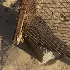 قفص طيور