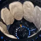 قرصان ميفا