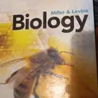 كتب عالميه لمدارس الانترناشونال
