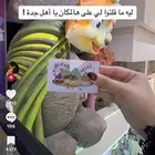بطاقة ألعاب ملاهي جزيرة المرح fun island